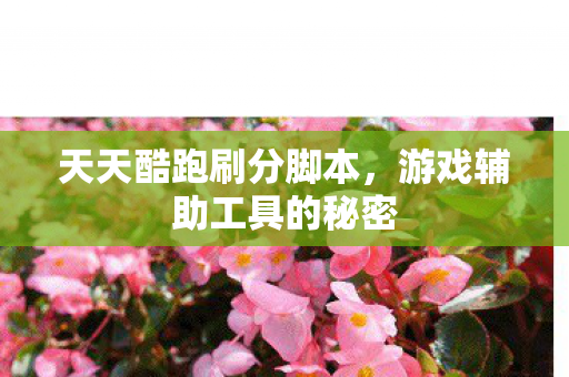 游戏辅助工具的秘密图片