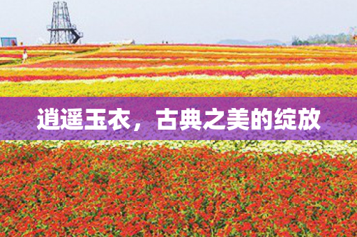 古典之美的绽放图片