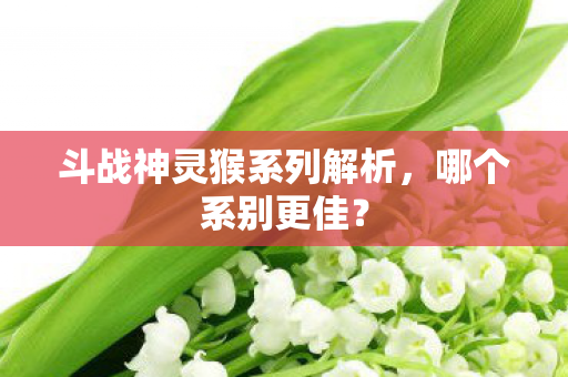 斗战神灵猴系列解析图片
