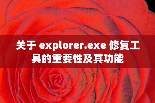 exe 修复工具的重要性及其功能图片