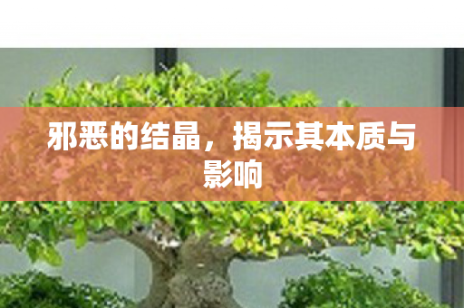 揭示其本质与影响图片