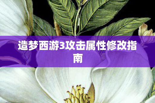 造梦西游3攻击属性修改指南图片