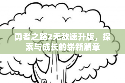 勇者之路2无敌速升版图片