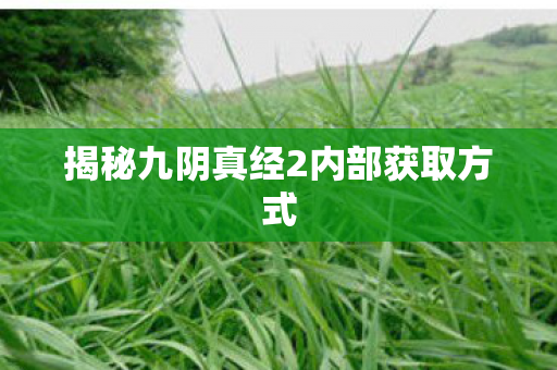 揭秘九阴真经2内部获取方式图片