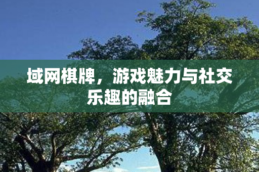 游戏魅力与社交乐趣的融合图片