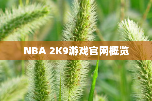 NBA 2K9游戏官网概览图片