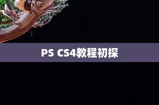 PS CS4教程初探图片