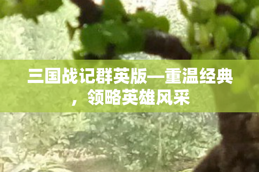 三国战记群英版图片