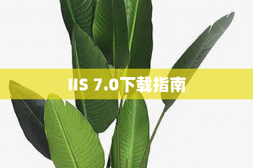 IIS 7图片