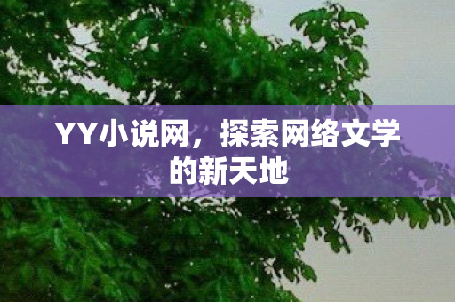 探索网络文学的新天地图片