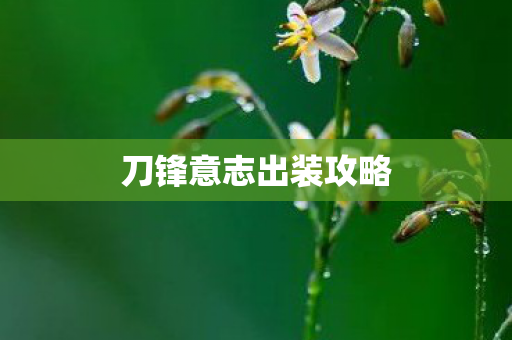 刀锋意志出装攻略图片