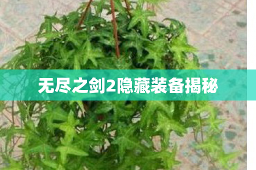 无尽之剑2隐藏装备揭秘图片