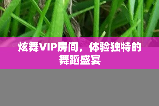 体验独特的舞蹈盛宴图片
