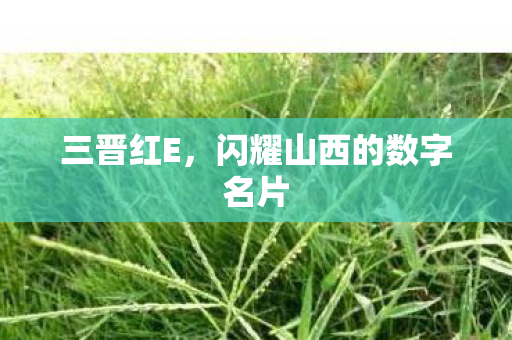 闪耀山西的数字名片图片
