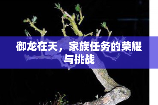 家族任务的荣耀与挑战图片