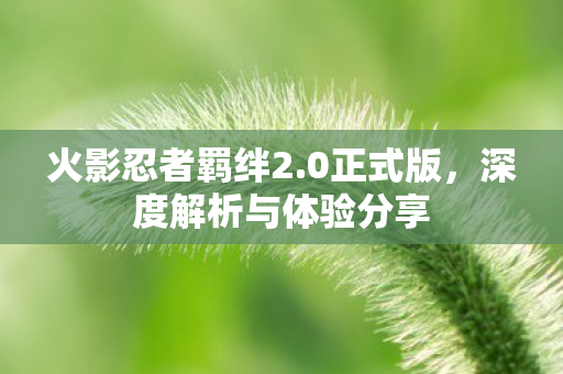 深度解析与体验分享图片