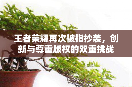 创新与尊重版权的双重挑战图片