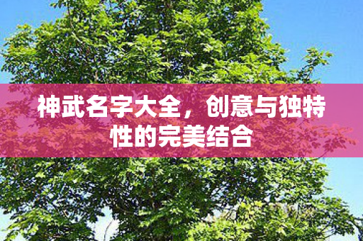 创意与独特性的完美结合图片