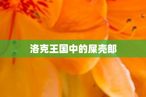 洛克王国中的屎壳郎图片