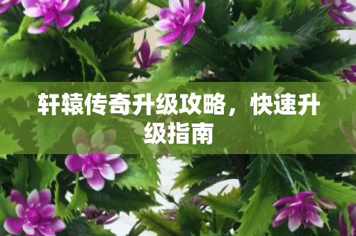 轩辕传奇升级攻略图片