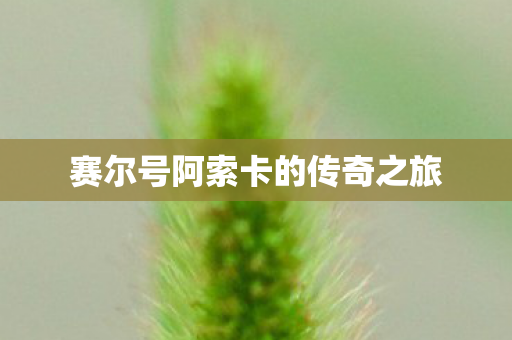 赛尔号阿索卡的传奇之旅图片