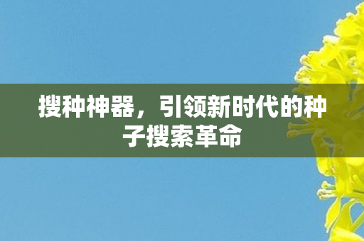 引领新时代的种子搜索革命图片
