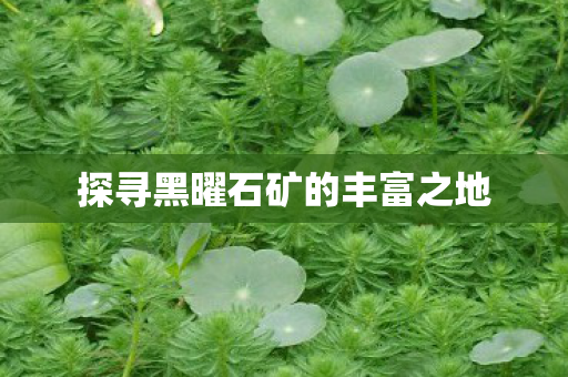 探寻黑曜石矿的丰富之地图片