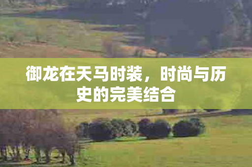 时尚与历史的完美结合图片