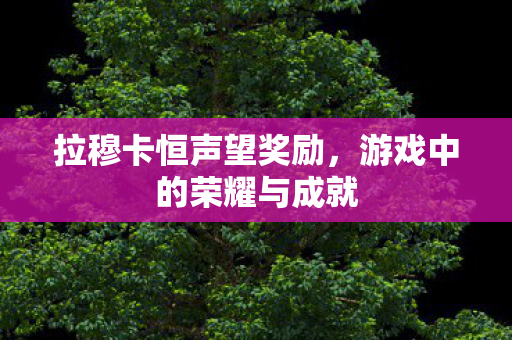 游戏中的荣耀与成就图片
