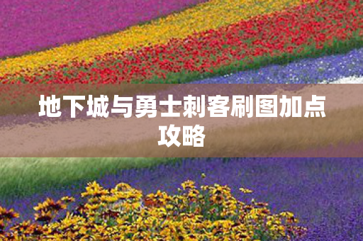 地下城与勇士刺客刷图加点攻略图片