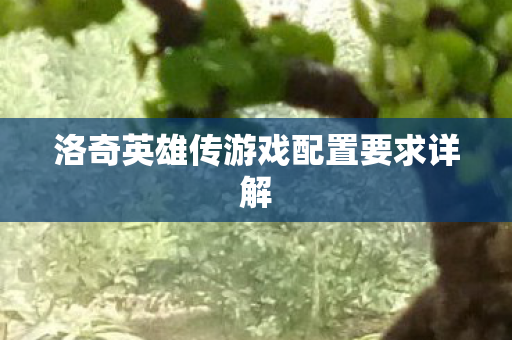 洛奇英雄传游戏配置要求详解图片