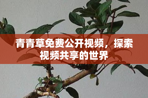 青青草免费公开视频图片