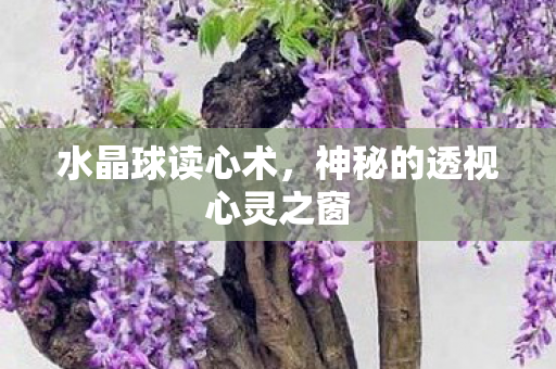 神秘的透视心灵之窗图片