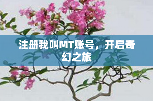 注册我叫MT账号图片