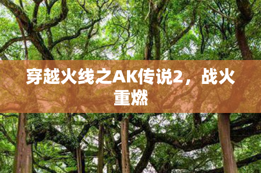 穿越火线之AK传说2图片
