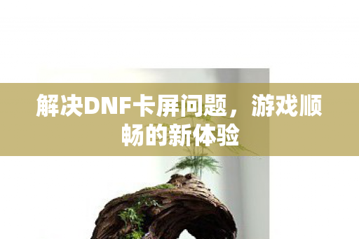 解决DNF卡屏问题图片