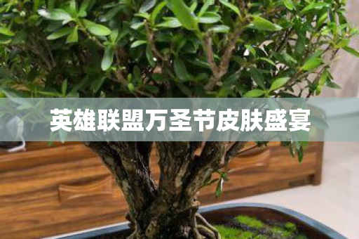 英雄联盟万圣节皮肤盛宴图片