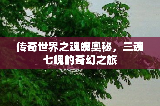传奇世界之魂魄奥秘图片