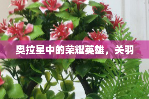 奥拉星中的荣耀英雄图片