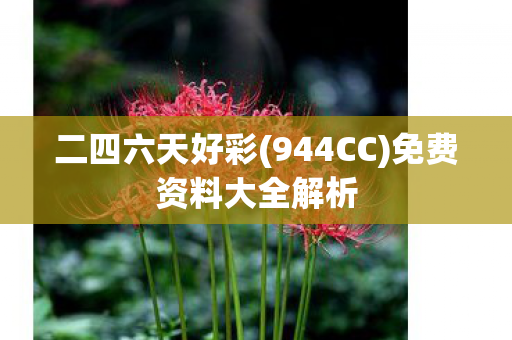 免费资料大全解析图片