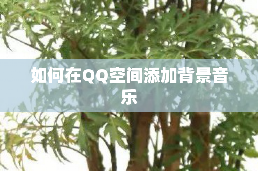 如何在QQ空间添加背景音乐图片