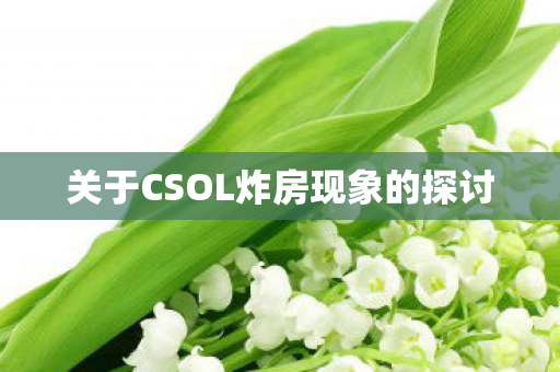 关于CSOL炸房现象的探讨图片