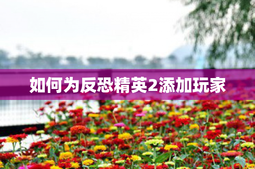 如何为反恐精英2添加玩家图片