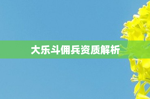 大乐斗佣兵资质解析图片