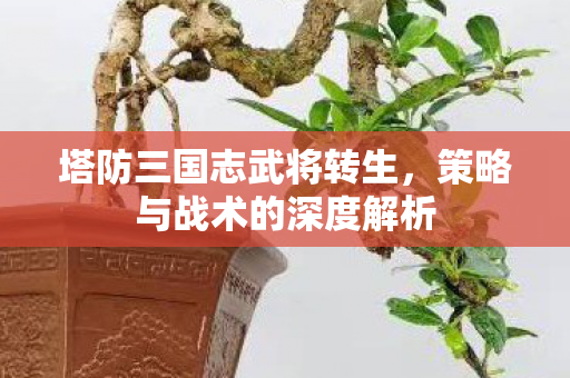 策略与战术的深度解析图片