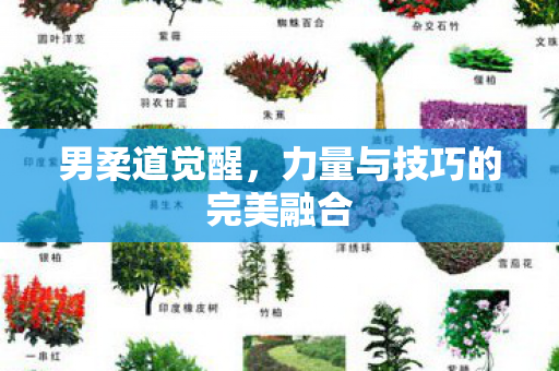 力量与技巧的完美融合图片