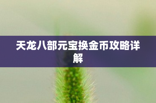 天龙八部元宝换金币攻略详解图片