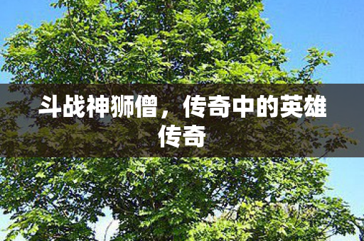 传奇中的英雄传奇图片