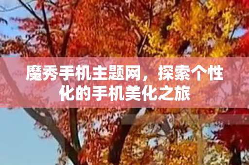 探索个性化的手机美化之旅图片