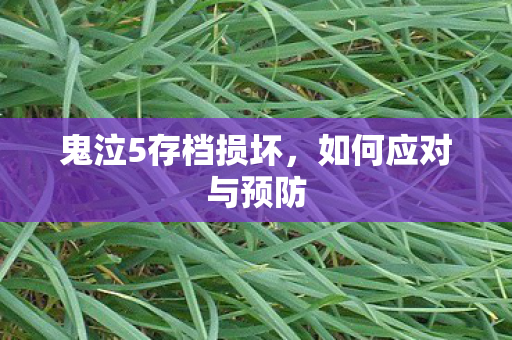 鬼泣5存档损坏图片